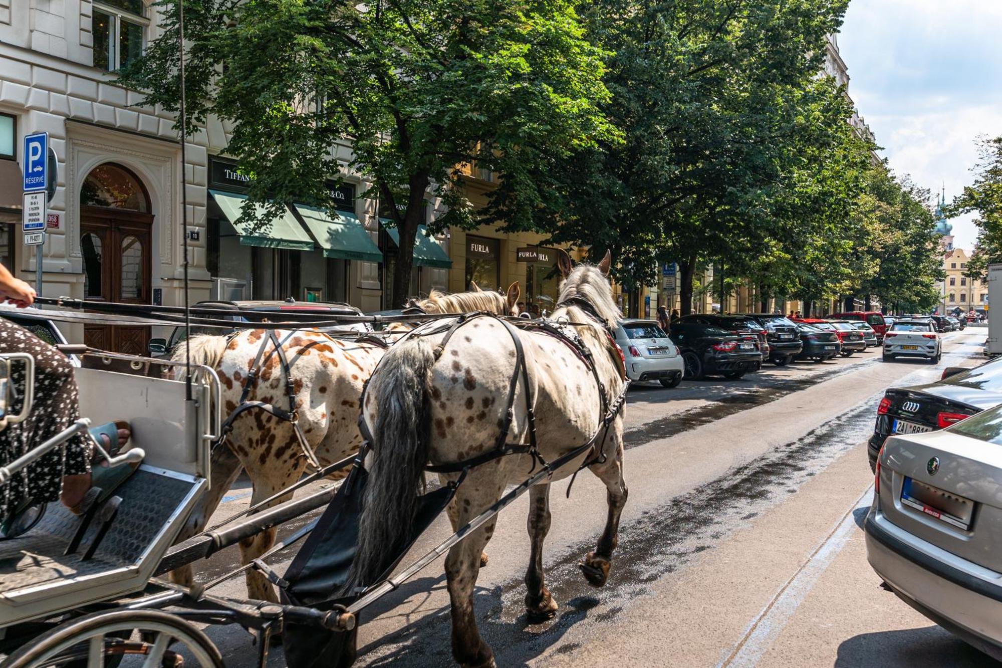 Wishlist Prague Residences - Karlin Free Parking المظهر الخارجي الصورة